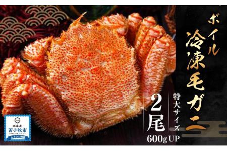 北海道 苫小牧産 ボイル 冷凍毛ガニ (600g UP×2尾セット）