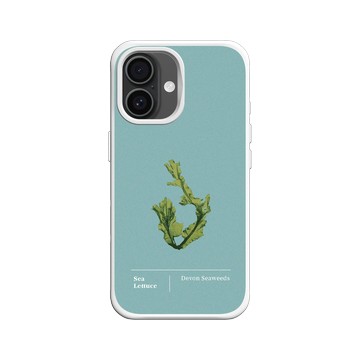 iPhone 16 SolidX 白 - The Seaweed Studio - 德文郡・美扇藻研習
