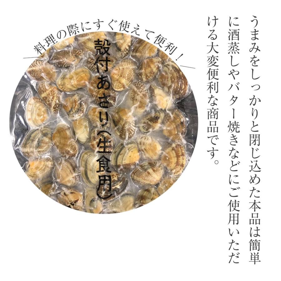 大粒あさり貝 殻つき 500g アサリ 浅利 同梱推奨 酒蒸し 味噌汁 吸い物 あさりバター パスタ BBQ