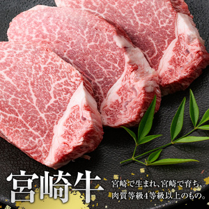 宮崎牛 焼肉2種(ウデ・バラ)(合計1kg・各500g×2)