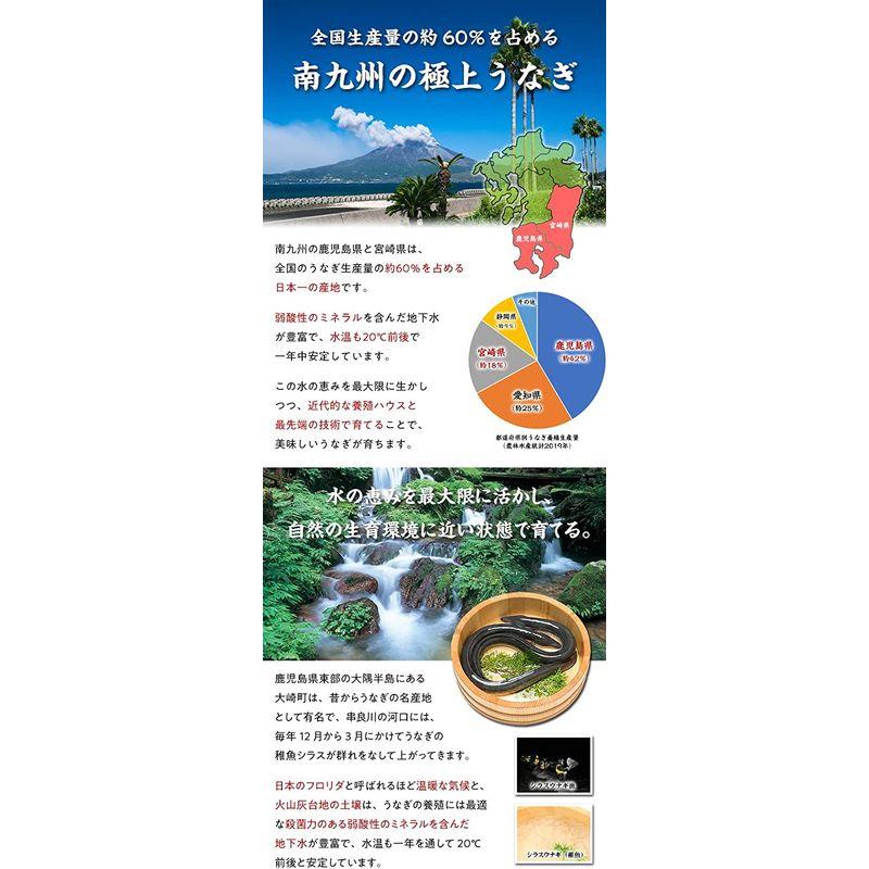 母の日 父の日 ギフト 甲羅組 国産 うなぎ 蒲焼き 155g 前後 ×5尾 大サイズ うなぎタレ＆山椒付き 鹿児島県または宮崎県産 (5尾