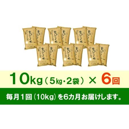 ふるさと納税 3人に1人がリピーター!☆全6回定期便☆ 岩手ふるさと米 10kg(5kg×2)×6ヶ月 令和5年産 新米 一等米ひとめぼれ 東北有数の.. 岩手県奥州市