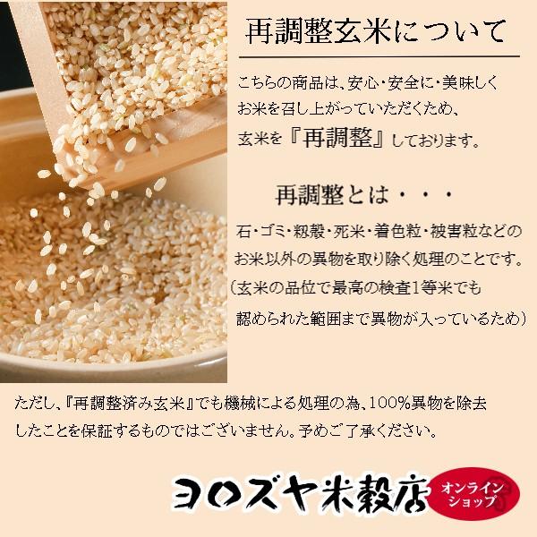 多古米 コシヒカリ 新米　玄米　5kg  一等米　千葉県多古産 こしひかり 　たこまい　オプション　10kg 20kg　選択可能