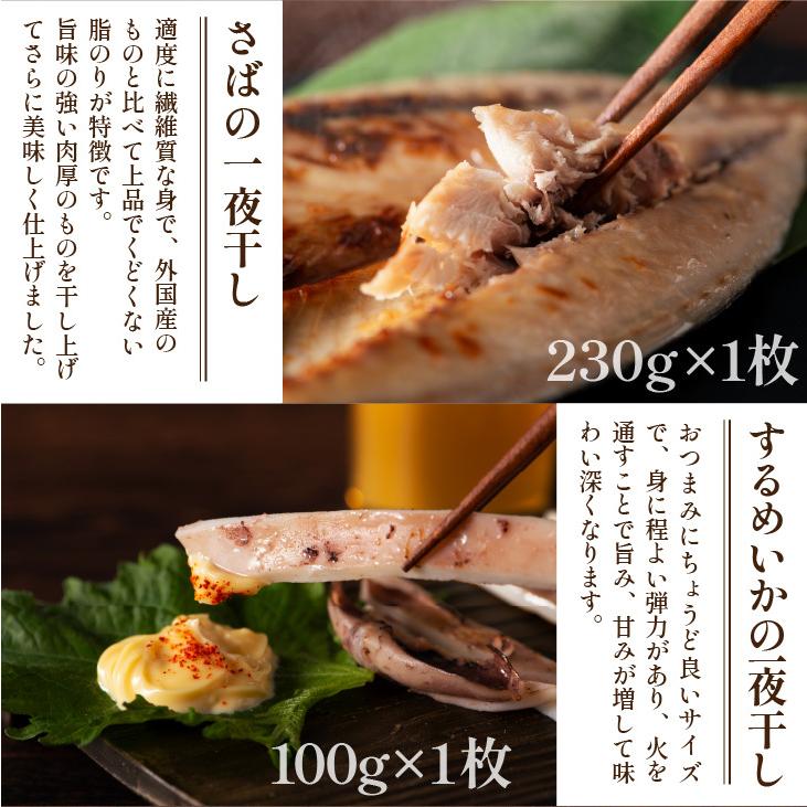 九州 お取り寄せ 干物 ひもの 食べ比べ 豪華 魚 お歳暮 ギフト 贈答 おつまみ 帰省暮 添加物不使用 無添加