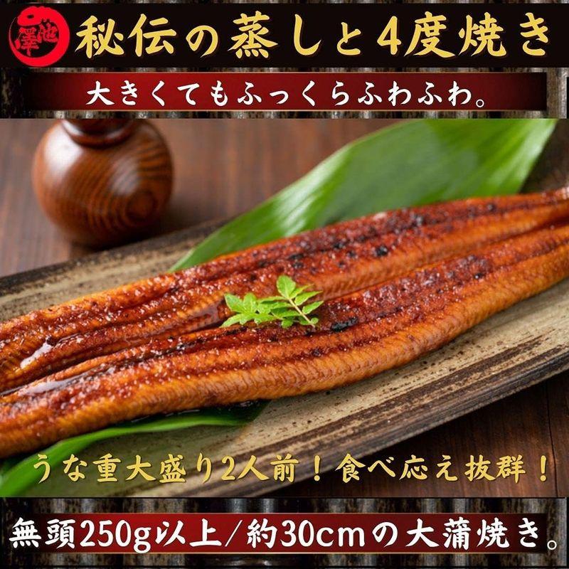 池澤鮮魚 国産 うなぎ 超特大 蒲焼き 250g以上×2尾 誕生日 ギフト (贈答用ギフト包装)