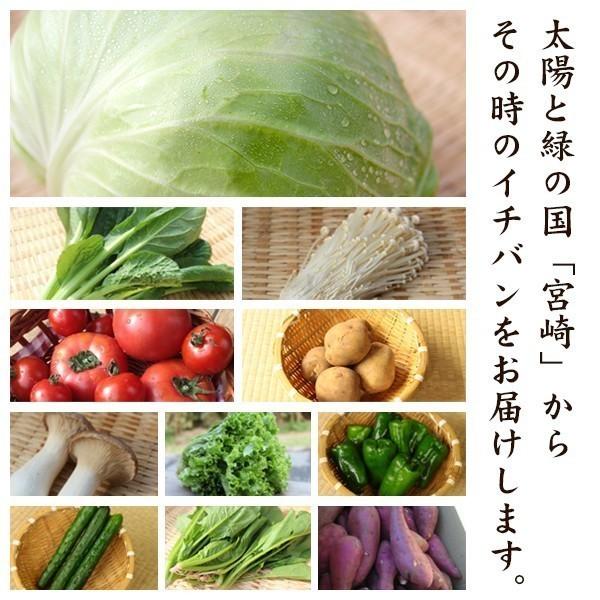 綾町野菜セット １回便　10種類　送料無料