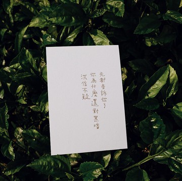 此時此刻。光都告訴你了 文字明信片 青青的島