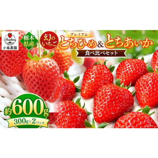 ふるさと納税 栃木県 真岡市 幻のいちごプレミアム とちひめ・とちあいか食べ比べ 600g　