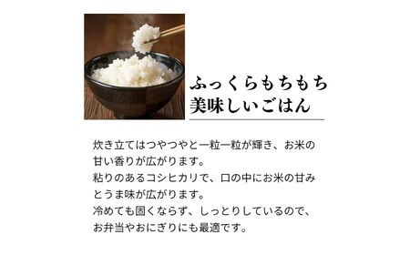 新潟県産コシヒカリ 2kg『ひすいの里』農家自慢の特選米 糸魚川 こしひかり