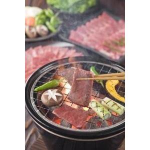 ふるさと納税 ロース・焼肉 500g （粉山椒付） 和歌山県那智勝浦町