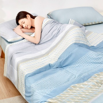 (無涼被)COOL PLUS 極致涼爽-三件式床包組(典雅人生)