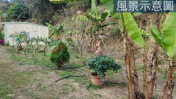 ⛳太平南國巷☘️夏美之地附合法資材室｜台中市太平區頭汴坑段