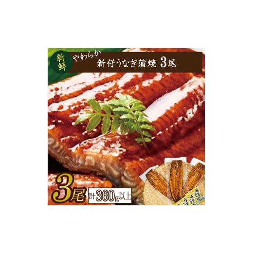 ふるさと納税 茨城県 行方市 AD-84　やわらか新仔うなぎ蒲焼120〜140ｇ　3尾　計360ｇ以上