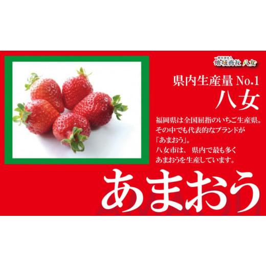 ふるさと納税 福岡県 八女市 九州・福岡からお届け！八女の恵み定期便 E｜＜配送不可：北海道・沖縄・離島＞