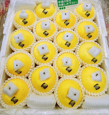 【帕查嬤嬤】????日本 青森 頂級 金星蘋果 2顆透明盒裝｜日本青森蘋果