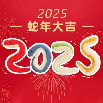 2025蛇年玩偶 小蛇玩偶 小蛇娃娃 小蛇啪啪圈 吉祥物娃娃 蛇寶寶搞怪毛絨玩具 女孩公仔 抱睡醜萌布偶 禮物 交換禮物