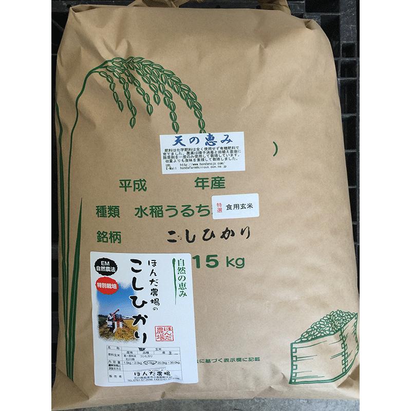 お米 令和4年産 新米 自然農法米こしひかり「天の恵み」食用玄米15ｋｇ