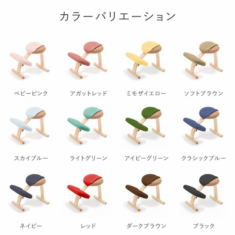 バランスラボ 】バランスイージー カバー付き バランスチェア RYBO ⅱ