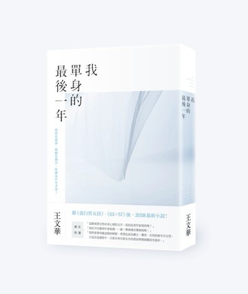 我單身的最後一年[二手書_良好]