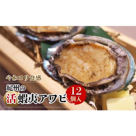 ふるさと納税 やわコリ食感紀州の蝦夷アワビ  和歌山県九度山町