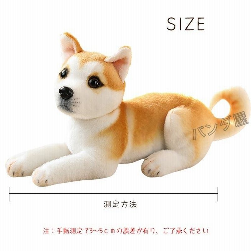犬 いぬ ぬいぐるみ Amazon.co.jp: スピッツ 伏せ KOSEN(ケーセン社) 64cm Japanese