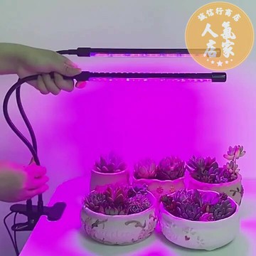 USB植物燈 LED植物燈 補光燈 植物補光燈仿太陽植物生長室內多肉補光全光譜光合作用led日照燈