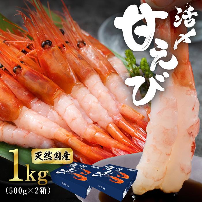 甘えび  甘海老 天然甘エビ 刺身 生食可 福井県産 純国産 無添加 冷凍甘エビ 1kg（500g×2箱） 送料無料 内祝い お歳暮 プレゼント ギフト