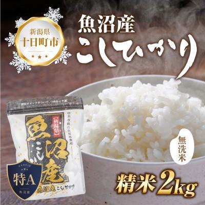 ふるさと納税 十日町市 無洗米  魚沼産 コシヒカリ 2kg  美味しい炊き方ガイド付き