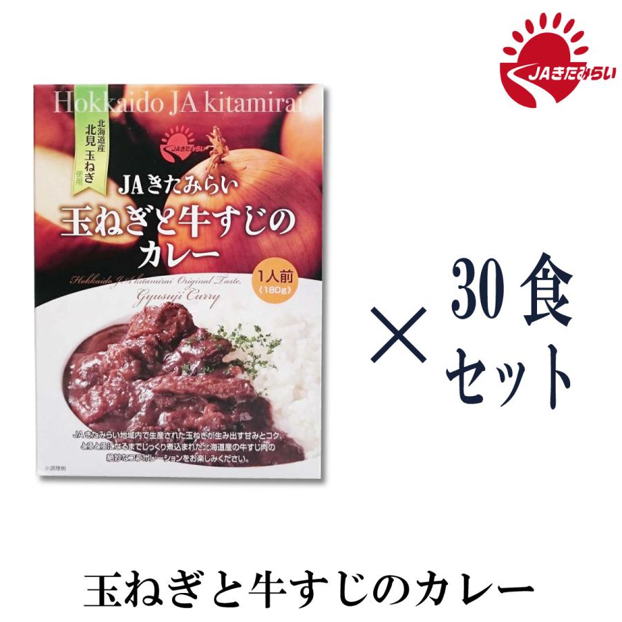 玉ねぎと牛すじのカレー　30個　（180g×30個）　レトルトパック　JAきたみらい