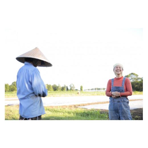 ふるさと納税 宮崎県 日向市 山の子農園の化学肥料・農薬をつかっていない旬のお野菜詰め合わせセット [山の子農園 宮崎県 日向市 452060149]