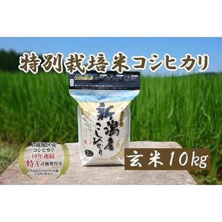 ふるさと納税 令和5年産｜新潟上越三和産｜特別栽培米コシヒカリ（従来種）10kg（2kg×5）玄米 新潟県上越市