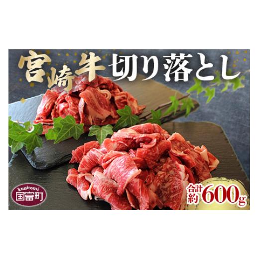 ふるさと納税 宮崎県 国富町 ＜宮崎牛切り落し 合計約600g (約300g×2パック)＞2か月以内に順次出荷