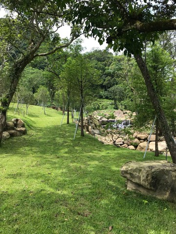 鄰三峽大板根之山野星空休閒農場｜新北市三峽區東眼段金敏子小段