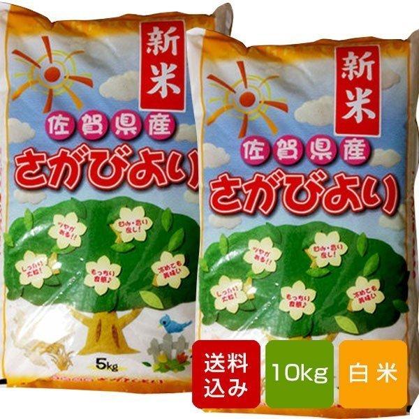 さがびより 白米 10kg コメ 米 一等米 佐賀県産 令和5年産