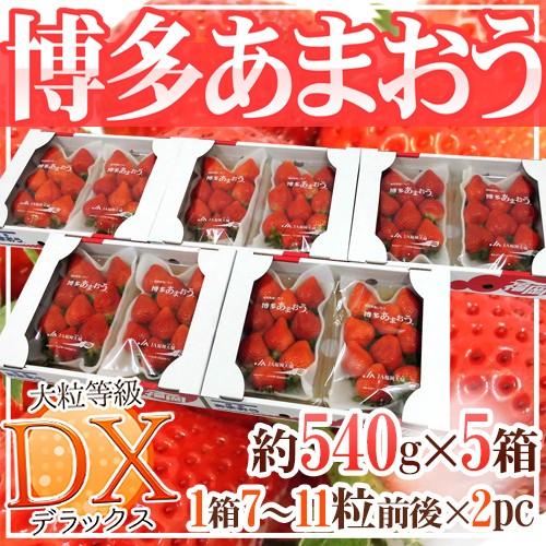 福岡産 博多 ”あまおういちご”等級DX（デラックス）5箱 10パック入り 約270g×10パック 送料無料