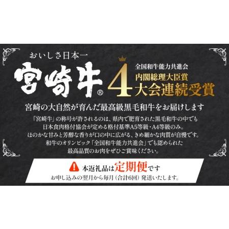 ふるさと納税 定期便6ヶ月お楽しみ宮崎牛スペシャル6種セット(計4.6kg) 宮崎県宮崎市