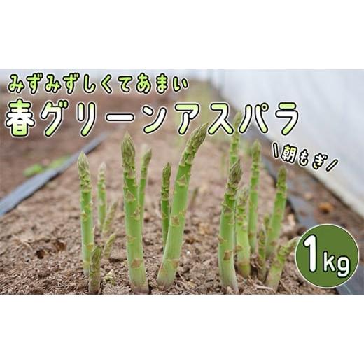 ふるさと納税 北海道 赤平市 アスパラ 北海道 朝もぎ 春グリーンアスパラ 約1kg［ほりぐち農園］ ※2024年4月中旬出荷開始先行予約