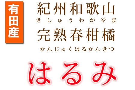 果肉ぷりぷり!完熟はるみ 5kg ※2024年2月上旬頃～2月下旬頃に順次発送予定 ※着日指定不可