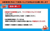 本ずわいがに約2kg（4～6尾）※足折れ含む