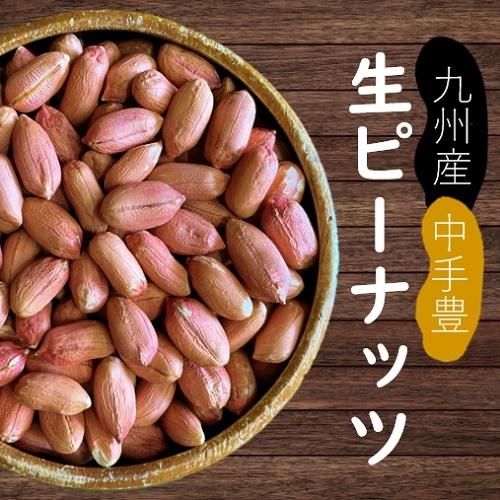 国産 未調理 生ピーナッツ 落花生 ナカテユタカ500g