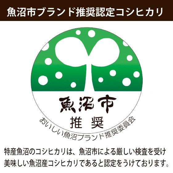 新米  お米２ｋｇ 令和5年 魚沼産コシヒカリ無洗米 2kg 魚沼市推奨コシヒカリ 安心安全