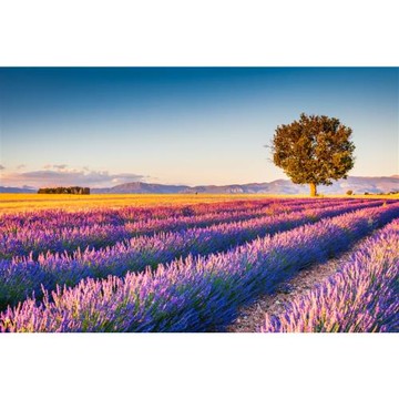 特選漫遊南法山城．普羅旺斯．亞爾梵谷之路．水道橋．光影採石場．品酒．TGV．巴黎羅浮宮10日_25EF10PP51