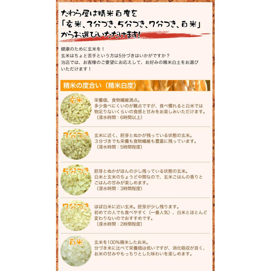 新米 令和5年産 お米 10kg (5kg×2袋)  篠山コシヒカリ 兵庫県 丹波篠山産 玄米 白米 7分づき 5分づき 3分づき 出荷日精米 送料無料