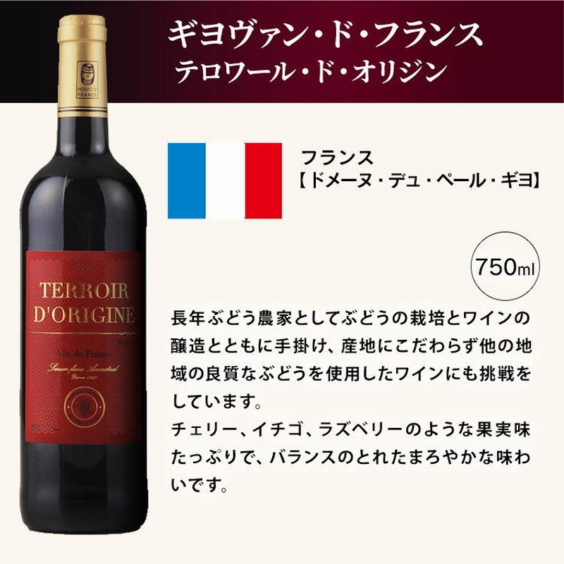 ギヨ ヴァン ド フランス テロワール ド オリジン 赤 750ml (D)(B 