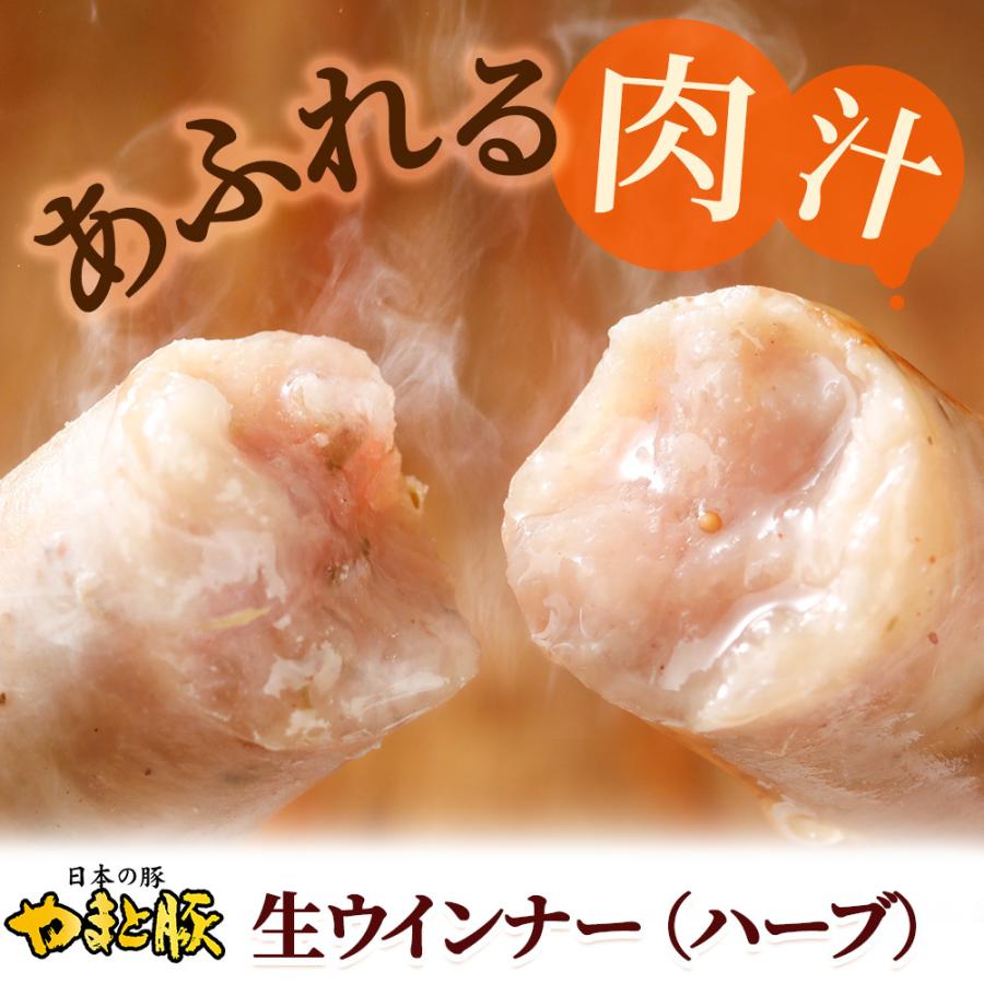 やまと豚 生ウインナー (ハーブ) セット 1kg NS-CC [冷凍] お歳暮 御歳暮 2023 食品 内祝い ギフト 食べ物 ウインナー ソーセージ 無添加 ウィンナー