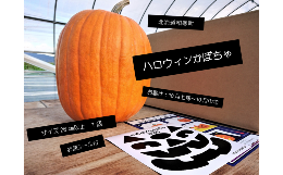 ≪令和6年10月お届け≫ハロウィンかぼちゃ