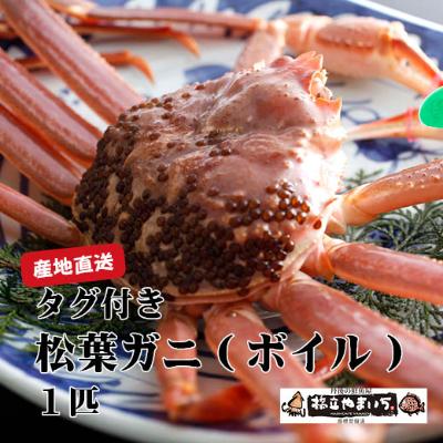 ふるさと納税 宮津市 松葉カニ タグ付きガニ(ボイル)大1匹