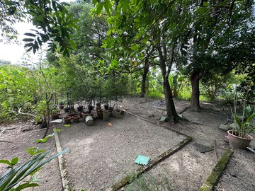 內門金竹國小休閒農地｜高雄市內門區金竹段