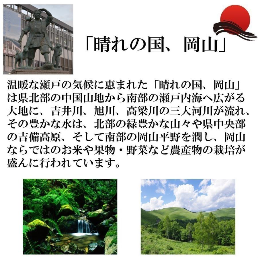 新米 令和5年産 岡山県産 あきたこまち 20kg  白米 食品 国産 送料無料 ※北海道・沖縄の方は別途送料加算