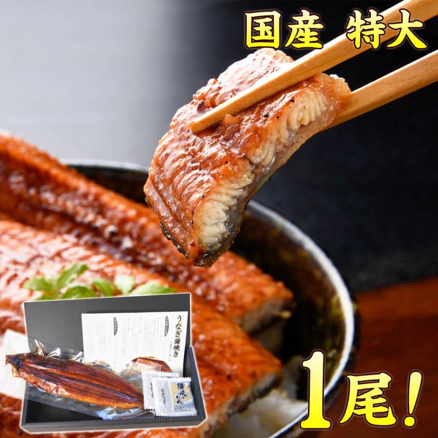 うなぎ 蒲焼き 特大 国産 220g 1尾 送料無料 有頭 真空包装 鰻 うなぎひつまぶし 土用丑 贈答 ギフト プレゼント ギフト 土用丑 土用の丑の日 年末年始 お歳暮